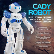 RC Robot Toy IR Gesture Control