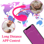 APP Remote Vibrator