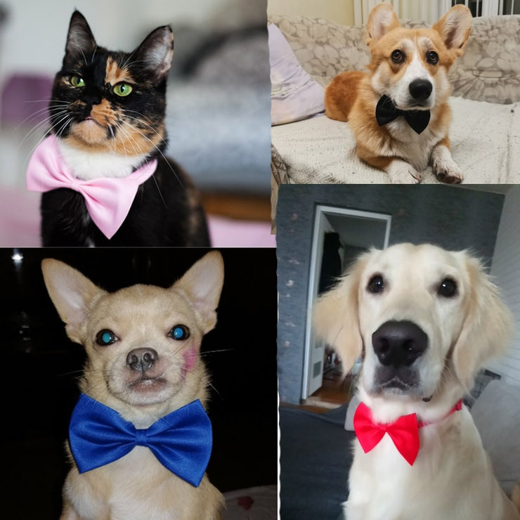 Pet Bow Tie Necklace