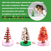 Magic Growing Crystal Christmas Tree