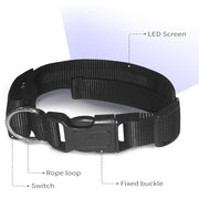 Luminous Pet Collar Bluetooth APP