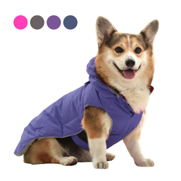 Dog Coat Winter Jacket