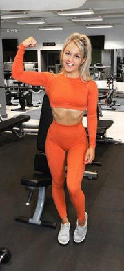 Fitness Yoga Wear 2 Pieces Seamless Yoga Set For Women High Waist Yoga Pants Gym Fitness Clothing Fitness Leggings And Top