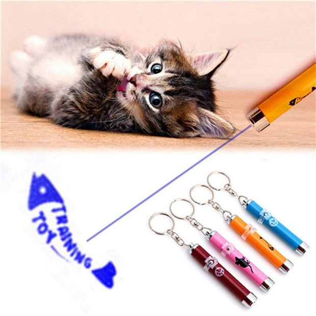 Portable Funny Cat Laser LED Pointer