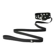 Leather Collar & Leash Set