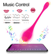 APP Remote Vibrator