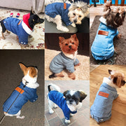 Luxury Winter Dog Jacket