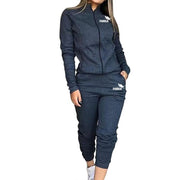 2 Piece Set Spring Autumn Women Tracksuit Zipper Sweatshirt+Pants Sportwear Casual Women's Sports Suit Hoodies Set Female 2021